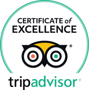 Trip Advisor logo